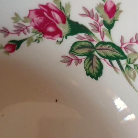 NWOT (Allied Design exquisite set of 4 Bowls_silver trim beautiful flora pattern - Picture 4 of 4